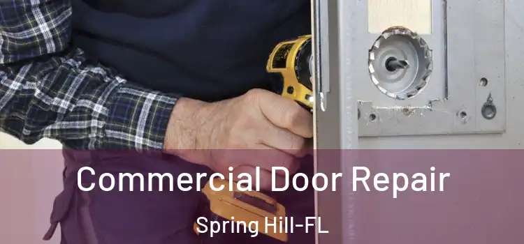 Commercial Door Repair Spring Hill-FL