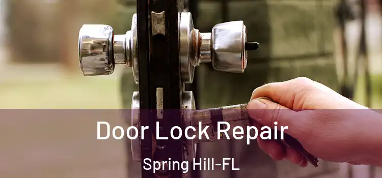  Door Lock Repair Spring Hill-FL