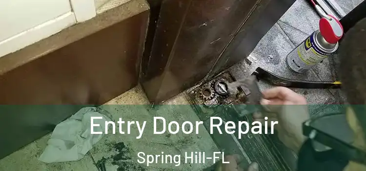  Entry Door Repair Spring Hill-FL