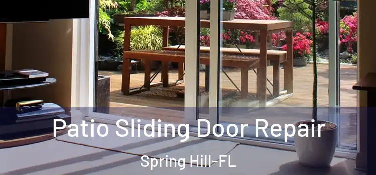  Patio Sliding Door Repair Spring Hill-FL