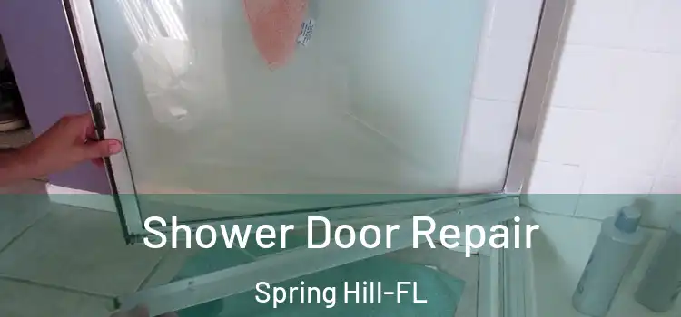  Shower Door Repair Spring Hill-FL
