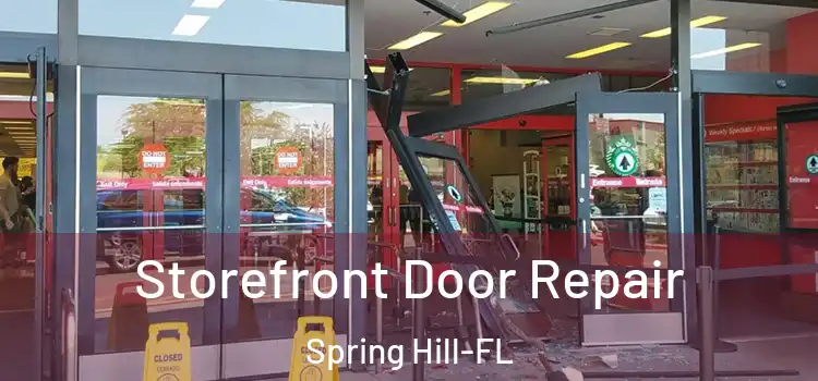  Storefront Door Repair Spring Hill-FL